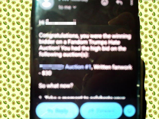 Email on a phone about winning a charity fanfiction prize auction.